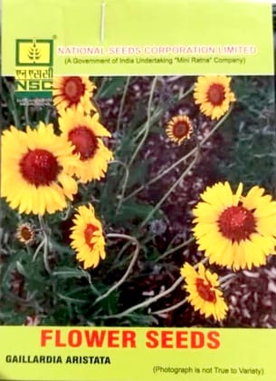 Gaillardia Aristata Blanket Flower Seeds - Vibrant & Drought-Tolerant Garden Blooms Gaillardia Aristata Blanket Flower Seeds - Vibrant & Drought-Tolerant Garden Blooms