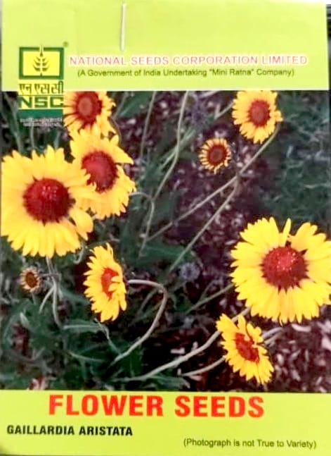 Gaillardia Aristata Blanket Flower Seeds - Vibrant & Drought-Tolerant Garden Blooms
