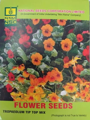 NSC FLOWER SEED -Trapaeolum Tip Top Mix- 10 gm NSC FLOWER SEED -Trapaeolum Tip Top Mix- 10 gm
