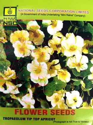 NSC FLOWER SEED- Trapaeolum Tip Top Apricot -(Cream Yellow Nasturtium) Seeds -10 gm NSC FLOWER SEED- Trapaeolum Tip Top Apricot -(Cream Yellow Nasturtium) Seeds -10 gm