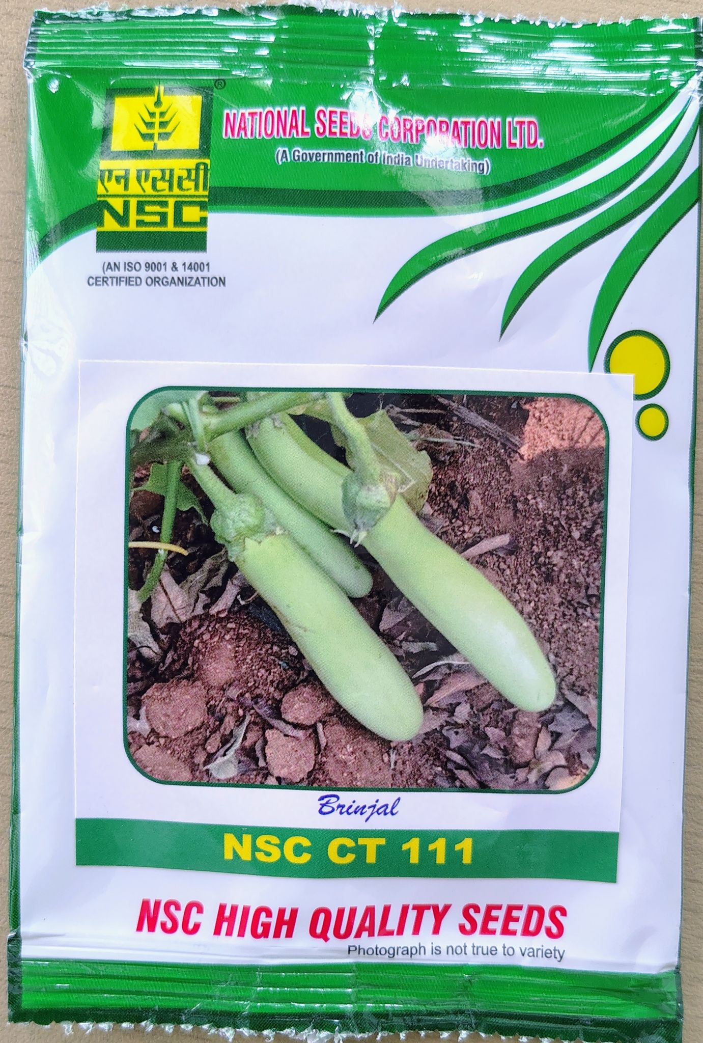 BRINJAL NSC CT 111