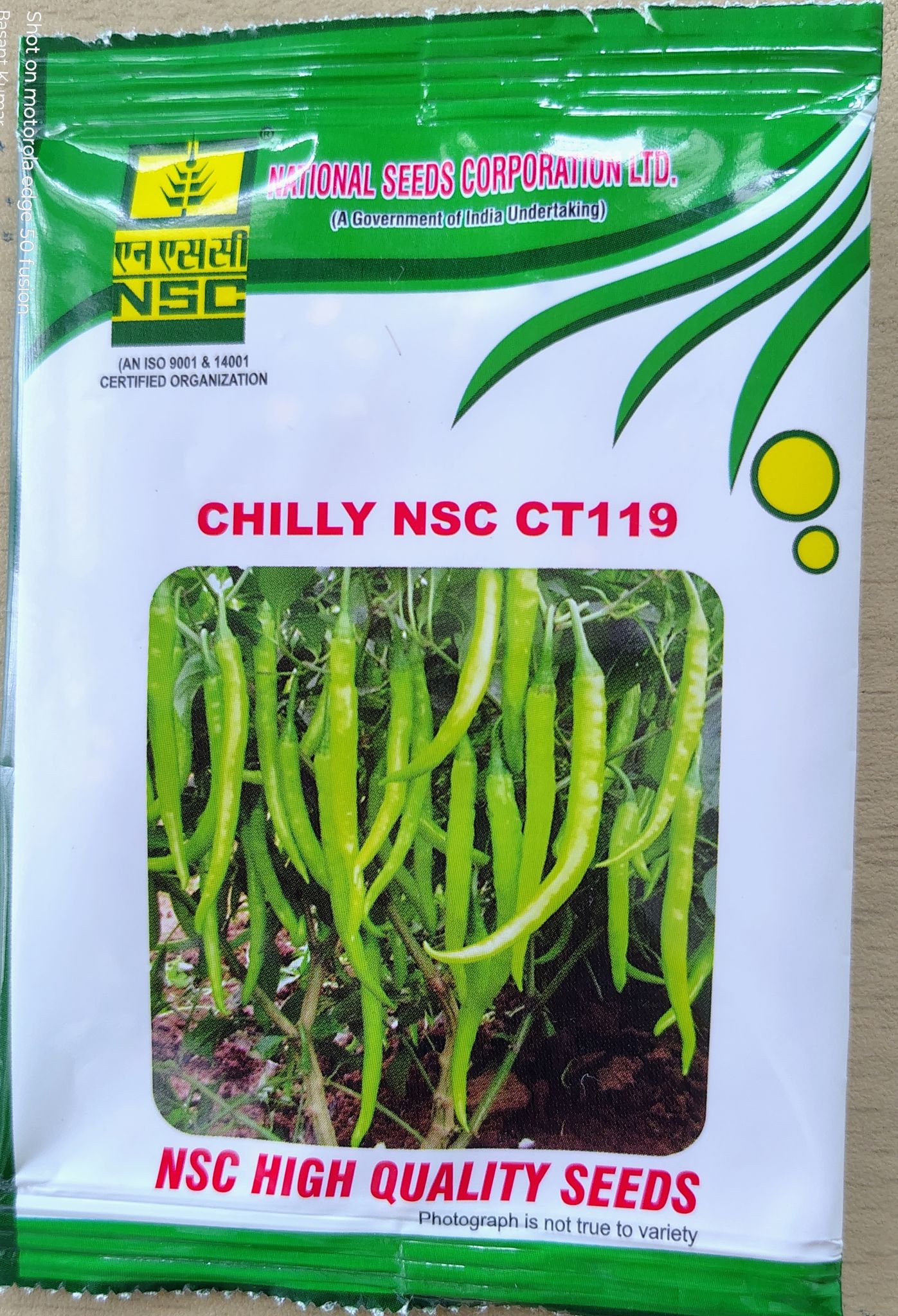 CHILLY NSC CT119