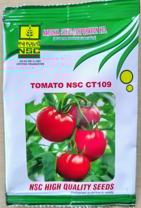 TOMATO NSC CT109