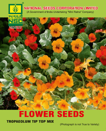 NSC Flower- Tropaeolum Tip Top Mix seed (10 gm seed)