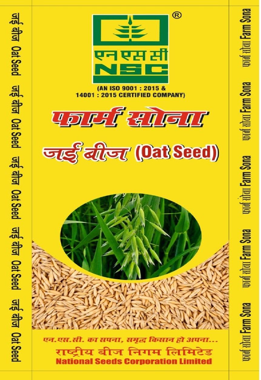NSC Fodder - Oat Variety Kent Certified Seed (10 Kg packing size)