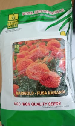 NSC High Quality Marigold Pusa Narangi (10 gm) Flower Seeds for Vibrant Gardens NSC High Quality Marigold Pusa Narangi (10 gm) Flower Seeds for Vibrant Gardens