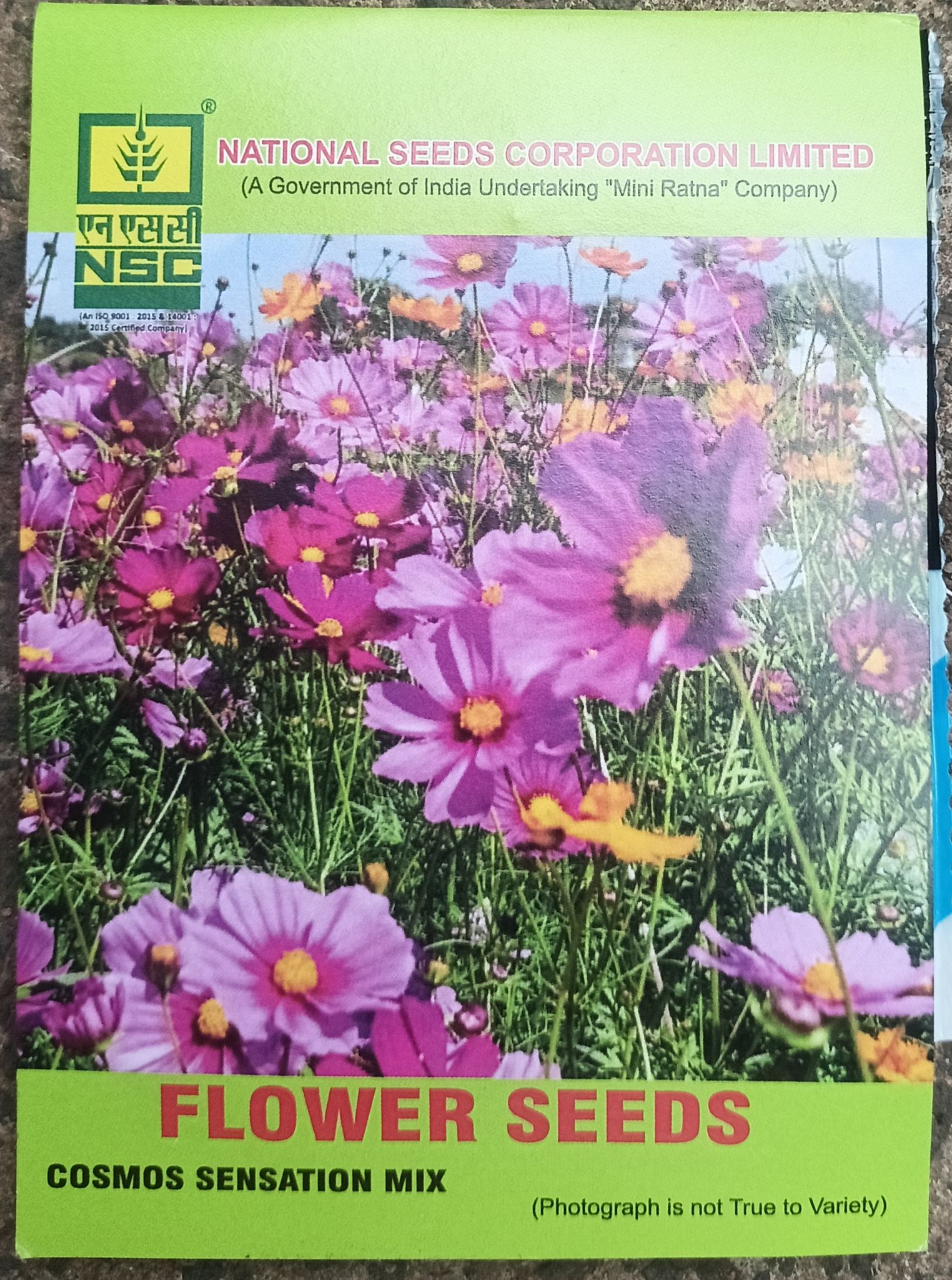 NSC Flower-Cosmos Sensation Mix-5 g Truthfully Labelled seed Pouch