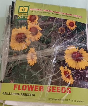 Gaillardia Aristata Flower Seeds (5 gm) - Premium Quality for Vibrant Gardens by NSC Gaillardia Aristata Flower Seeds (5 gm) - Premium Quality for Vibrant Gardens by NSC