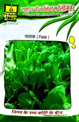NSC Palak (Spinach) Seeds - PUSA VILAYATI- 250 gm