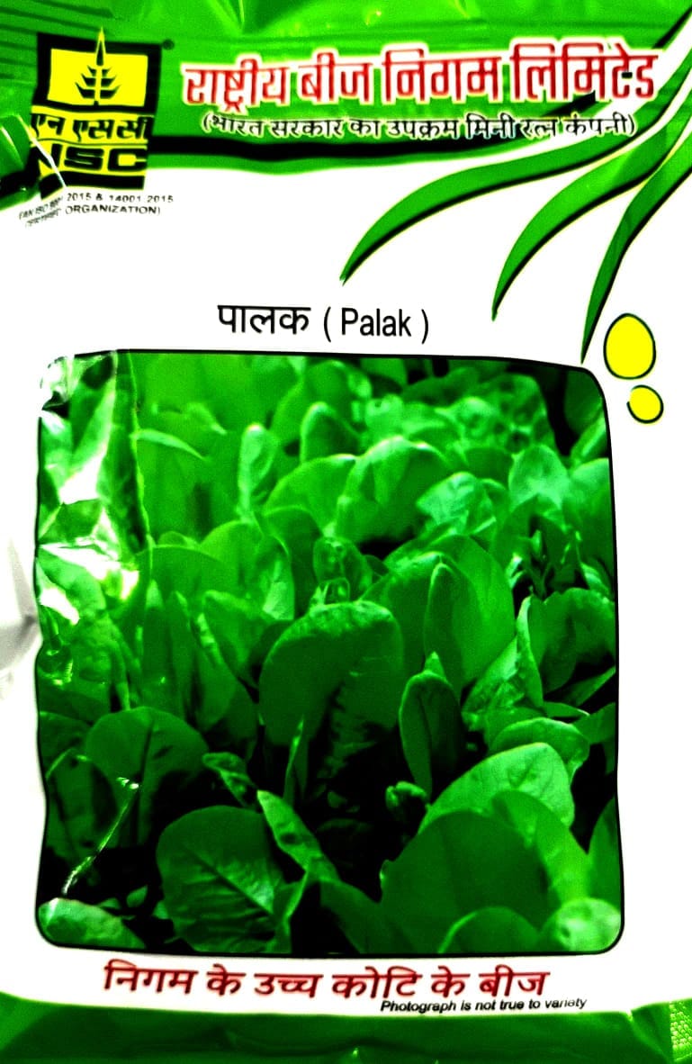 NSC Palak (Spinach) Seeds - PUSA VILAYATI- 250 gm