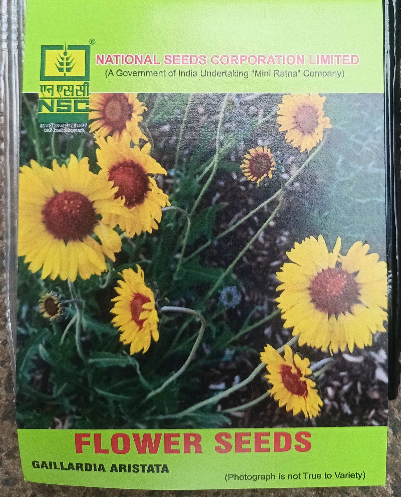 NSC Flower-Gaillardia Aristata (Blanket Flower)-5 g Truthfully Labelled Seed Pouch