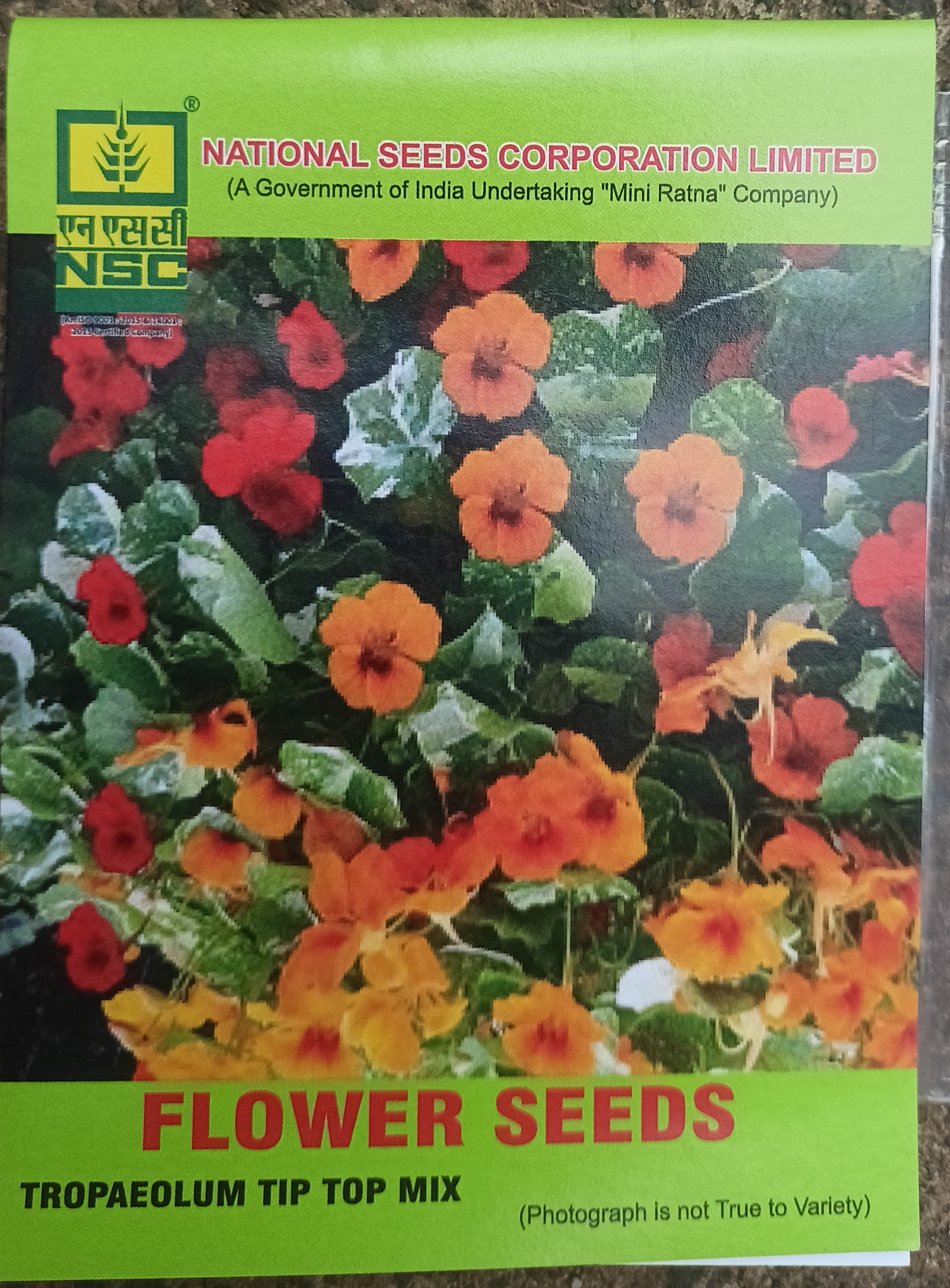 NSC Flower- Tropaeolum Tip Top Mix- 10 g-Truthfully Labelled Seed Pouch