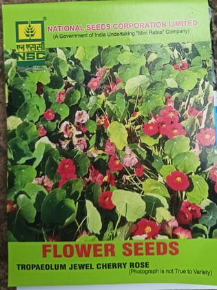 NSC Flower-Tropaeolum Jewel Cherry Rose-10 g Truthfully Labelled Seed Pouch