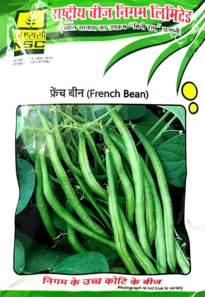 NSC  French Bean Seeds - CONTENDER- 100 gm