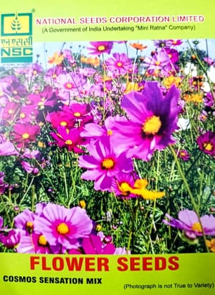 FLOWER COSMOS SENSATION MIX 5 GM PACK
