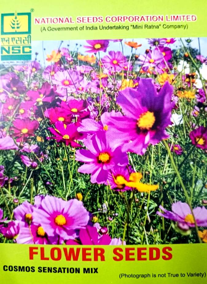 FLOWER COSMOS SENSATION MIX 5 GM PACK