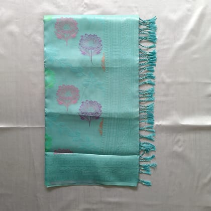 Meena Tissue Silk Cotton Saree with Blouse