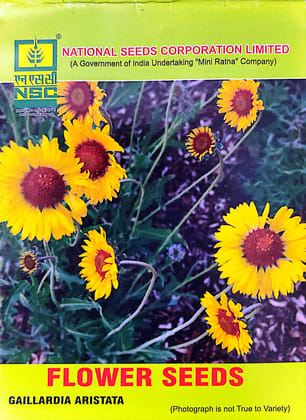 Flower Gaillardia Aristata 5 gm Pack