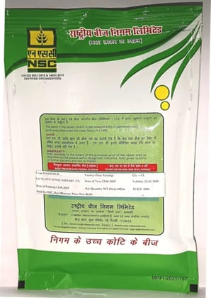 NSC Marigold Pusa Narangi- 10 gram pack