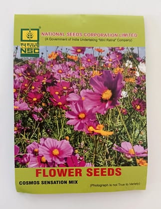 NSC Cosmos Sensation Mix Flower Seed, 5 gram T/L 