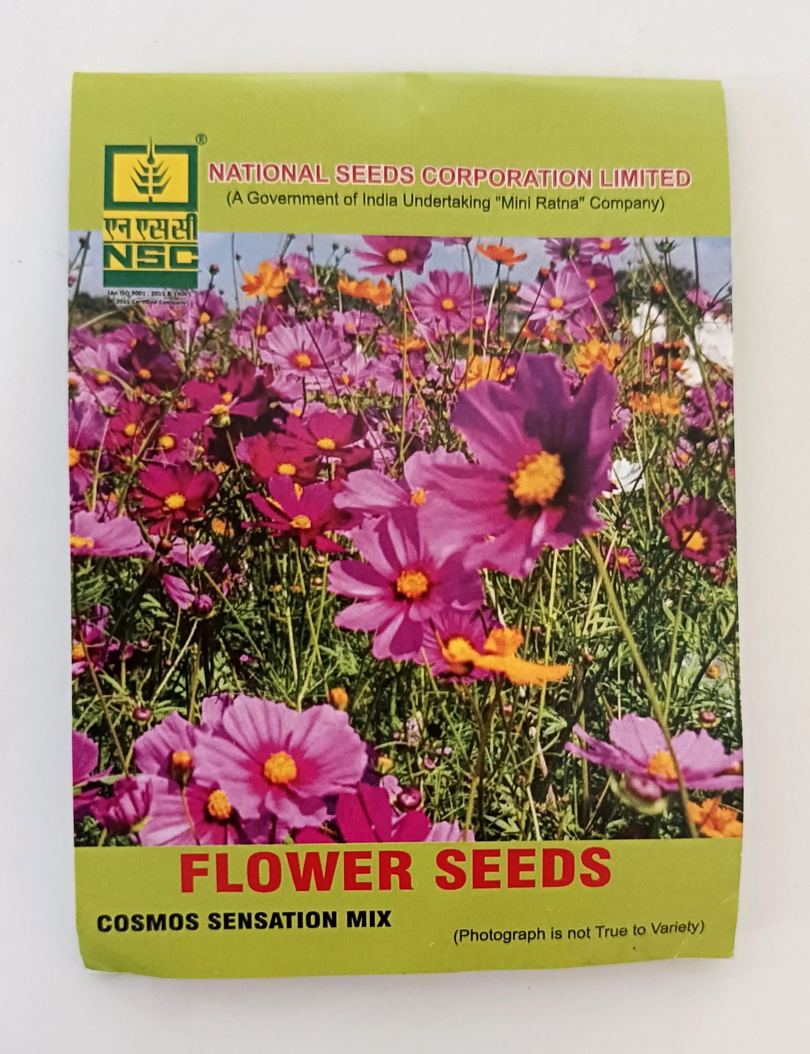 NSC Cosmos Sensation Mix Flower Seed, 5 gram T/L 