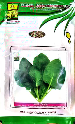 NSC Palak Seeds Variety  Pusa Vilayati