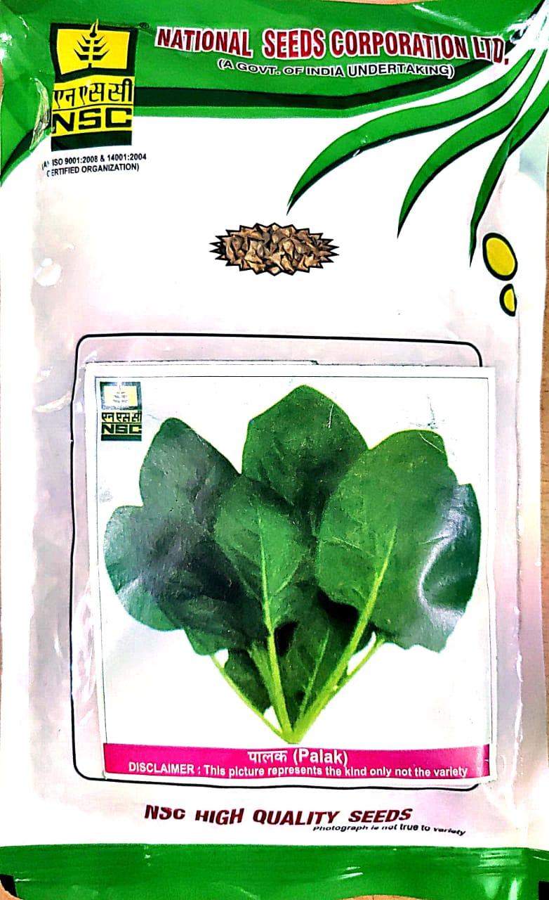 NSC Palak Seeds Variety Pusa Vilayati