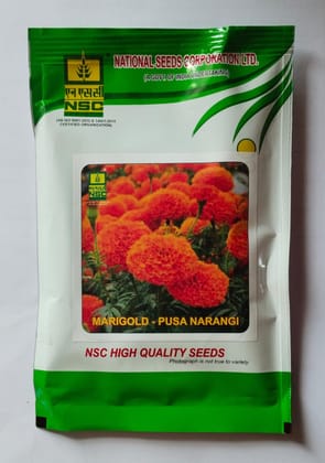 NSC MARIGOLD/ Variety PUSA NARANGI, 10 gm T/L Seed