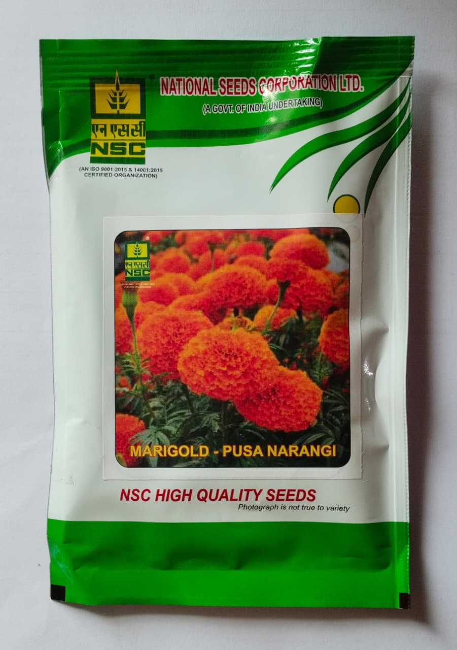 NSC MARIGOLD/ Variety PUSA NARANGI, 10 gm T/L Seed
