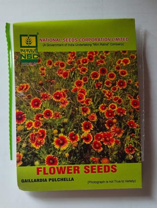 NSC FLOWER GAILLARDIA PULCHELLA/ 5 GM TL SEEDS