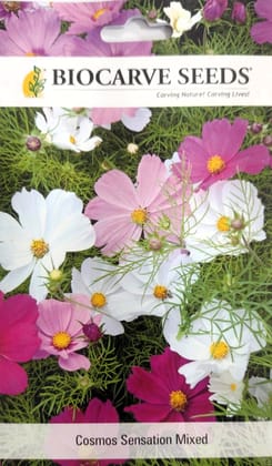 Cosmos Sensation Mixed Flower Seeds