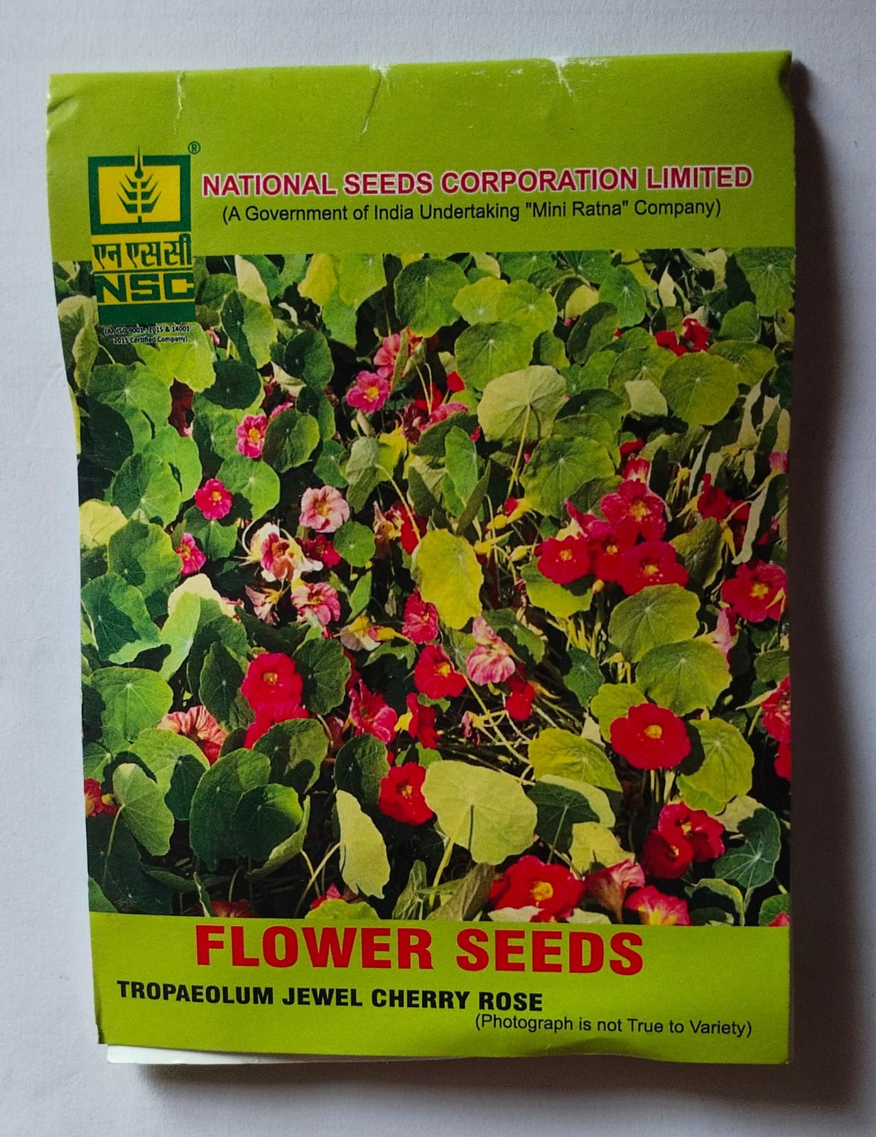 NSC FLOWER TROPAEOLUM JEWEL CHERRY ROSE/ 10 gm TL SEEDS