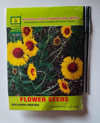 NSC FLOWER GAILLARDIA ARISTATA/ 5 gm TL SEEDS
