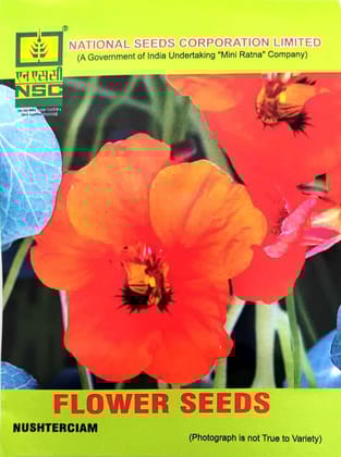 NSC Flower Seed - Nasturtium - 5 gm