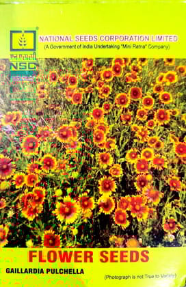 GAILLARDIA PULCHELLA 5 GM PACK