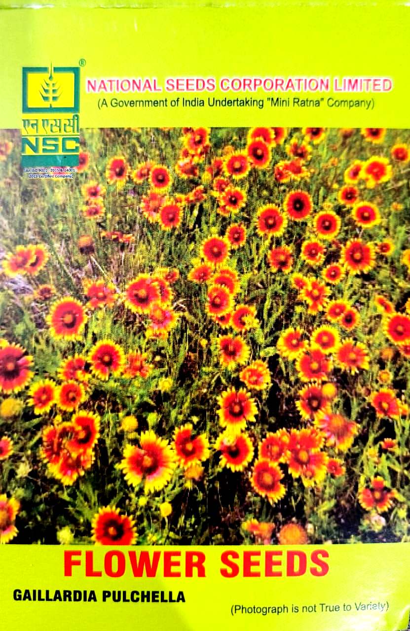 GAILLARDIA PULCHELLA 5 GM PACK