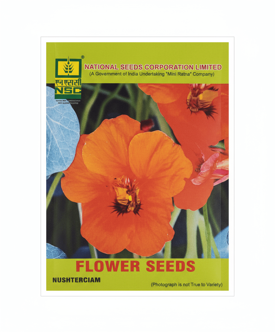 NUSHTERCIAM BEAUTY FLOWER SEEDS 5GM POUCH