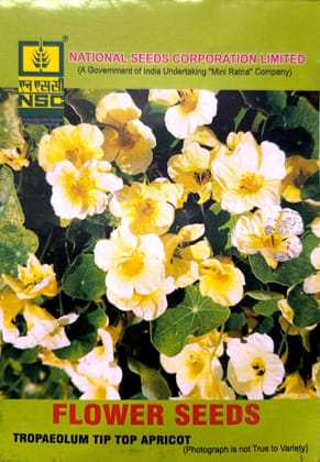 TROPAEOLUM TIP TOP APRICOT  10 GM PACK