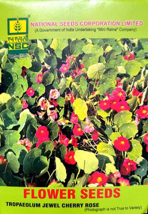 TROPAEOLUM JEWEL CHERRY ROSE 10GM PACK