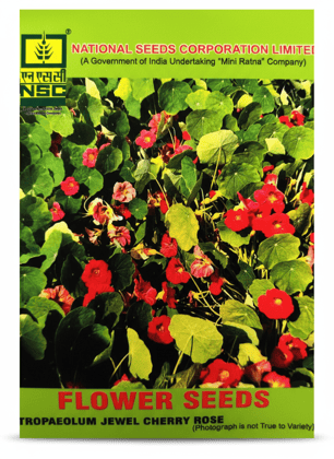 NSC FLOWER SEED- Vibrant Red Trapaeolum Jewel Cherry Rose-10 gm