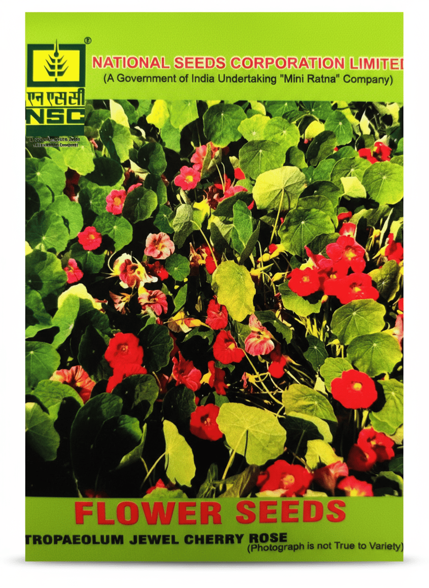 NSC FLOWER SEED- Vibrant Red Trapaeolum Jewel Cherry Rose-10 gm