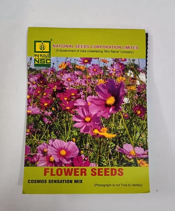 NSC Cosmos Sensation Mix Flower Seed (5 Gm Seed)