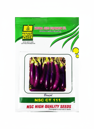 Brinjal NSC CT 111