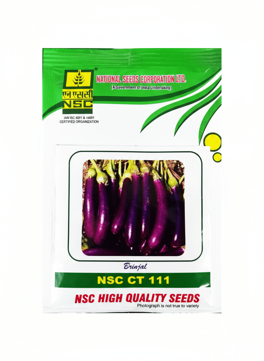 Brinjal NSC CT 111