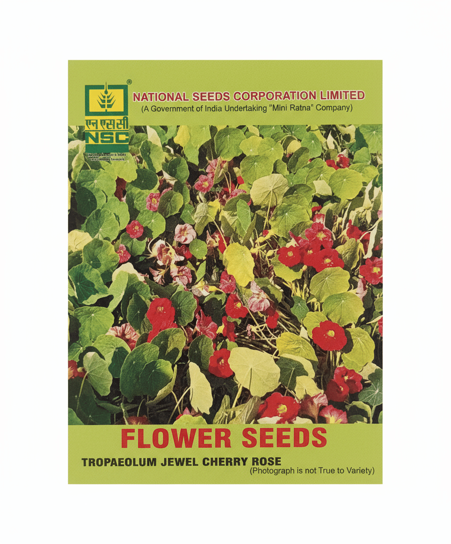 TROPAEOLUM TIP TOP MIX