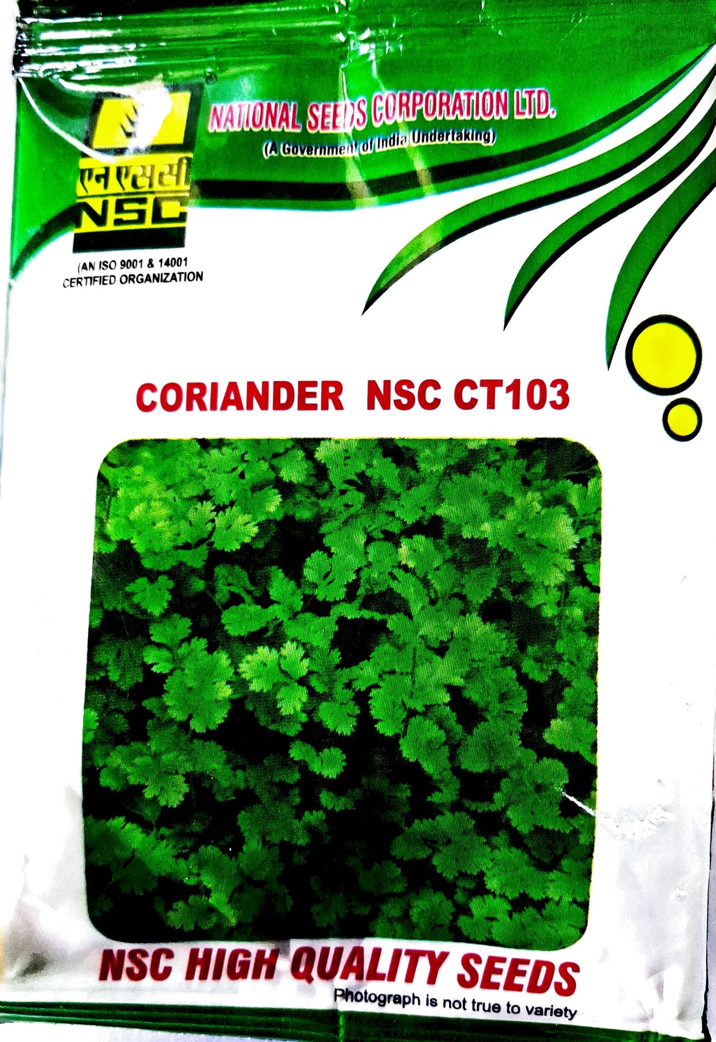 Coriander NSC CT103
