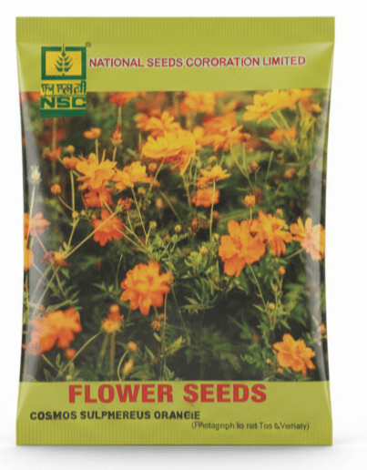 COSMOS SULPHEREUS ORANGE