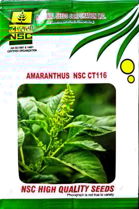 Amaranthus NSC CT 116
