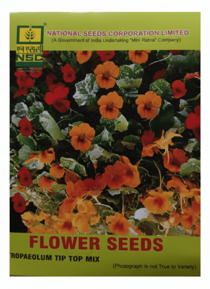 TROPAEOLUM TIP TOP APRICOT