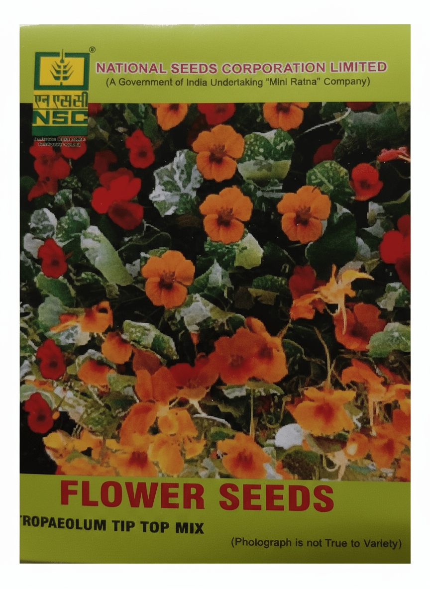 TROPAEOLUM TIP TOP APRICOT